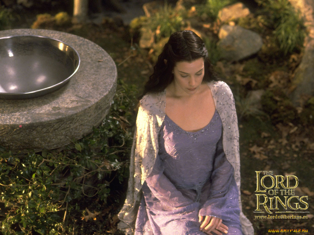, , , the, lord, of, rings, fellowship, ring